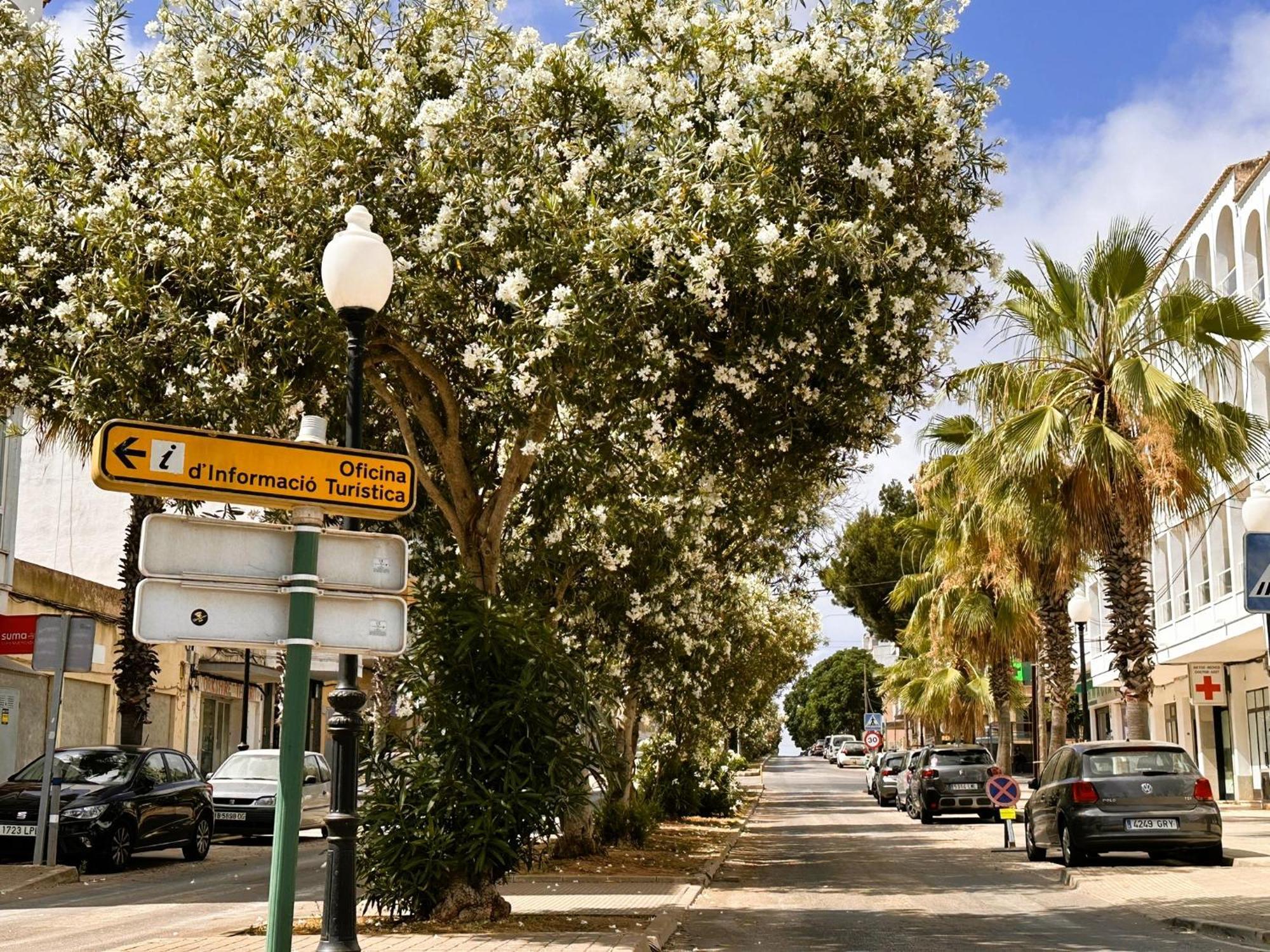 Ferienhaus Mallorcasita